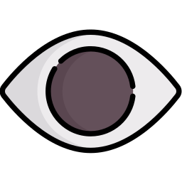 Visibility icon