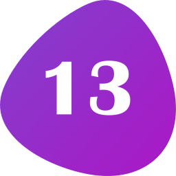 Number 13 icon