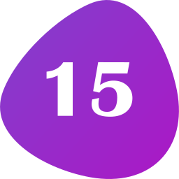 Number 15 icon