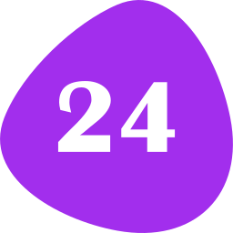 Number 24 icon