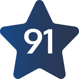 91 Ícone