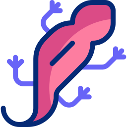 Paramesotriton icon