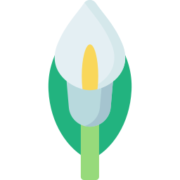 Calla lily icon