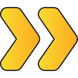 richtiger chevron icon