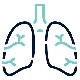 Lungs icon