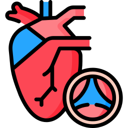 Aortic icon