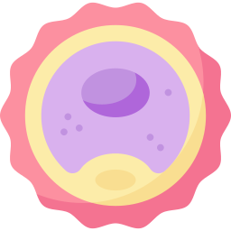 ovum icon