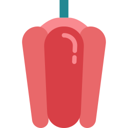 paprika icon