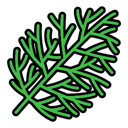 Dill icon