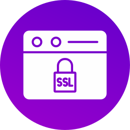 Ssl certificate icon