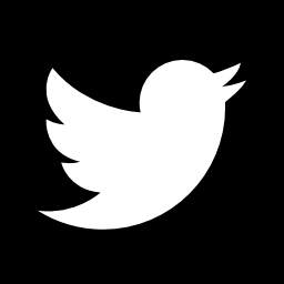 twitter иконка