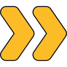 richtiger chevron icon