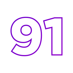 91 Ícone