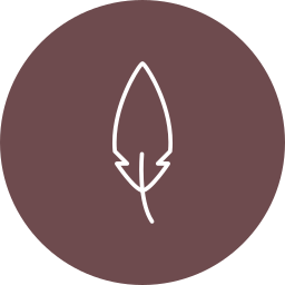 Feather icon