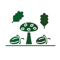 Mushroom icon