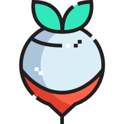 Beetroot icon