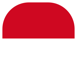 vlag icoon