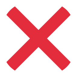 Flag icon