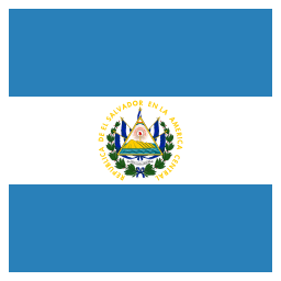 vlag icoon