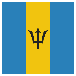 Flag icon