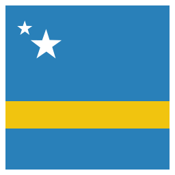 Flag icon