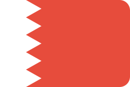 Flag icon