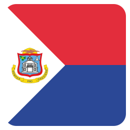 Flag icon