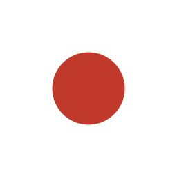 flagge icon