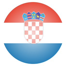 Flag icon