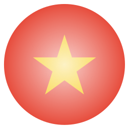 flagge icon