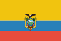 vlag icoon