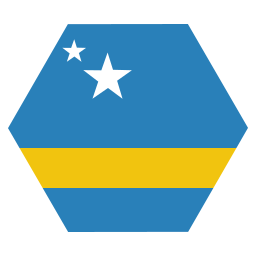 flagge icon