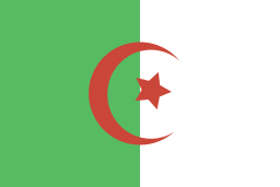 Flag icon