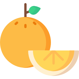 Orange icon