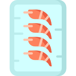 Prawn icon