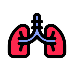 Lung icon