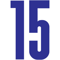 15 icon