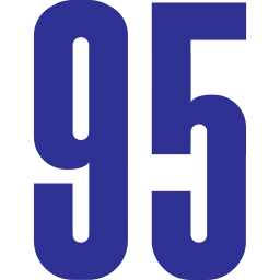 95 icon