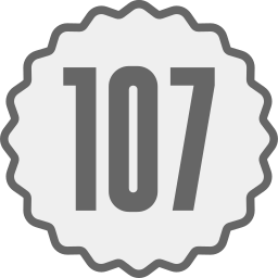 107 icona