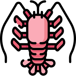 Langoust icon