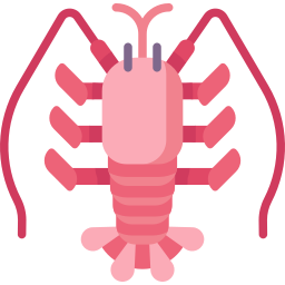 langoust icon