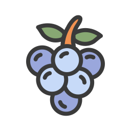 Grape icon