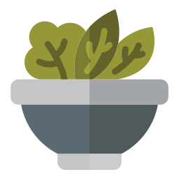 Salad icon