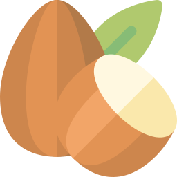 Almond icon