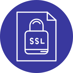 ssl icon