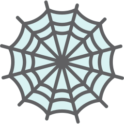 Spider web icon