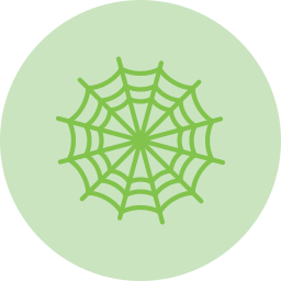 Spider web icon