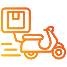 Express delivery icon