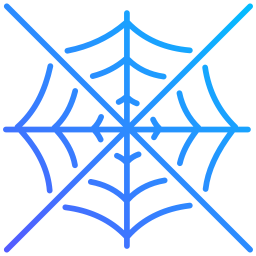 Spider web icon