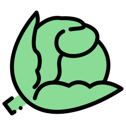 Cabbage icon